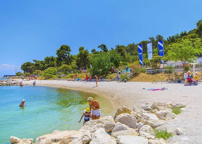 Vinko Trogir