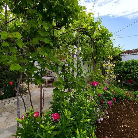 Vinko Apartment Trogir